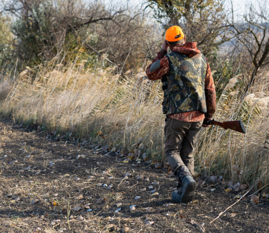 Respinto ricorso su composizione comitato tecnico faunistico-venatorio nazionale Respinto ricorso su composizione comitato tecnico faunistico-venatorio nazionale: cacciatore di spalle, con fucile in mano