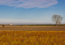 Aggiornato il piano faunistico-venatorio del Veneto