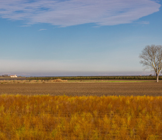 Aggiornato il piano faunistico-venatorio del Veneto