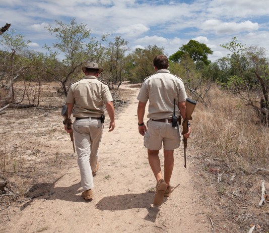Nuovo regolamento europeo per l’esportazione di armi da caccia all’estero Nuovo regolamento europeo per l’esportazione di armi da caccia all’estero: ranger e cacciatori di spalle, caccia in africa