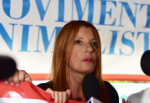 Prelievo del cinghiale nelle aree protette, interrogazione di Brambilla Prelievo del cinghiale nelle aree protette, interrogazione di Brambilla