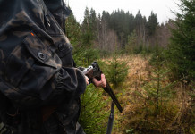 Riforma della legge sulla caccia, in calendario il riavvio della discussione Riforma della legge sulla caccia, in calendario il riavvio della discussione