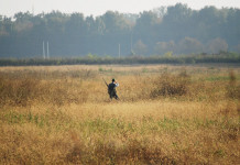 Riforma della legge sulla caccia, nuovo rinvio della discussione Riforma della legge sulla caccia, nuovo rinvio della discussione: cacciatore di spalle, in collina