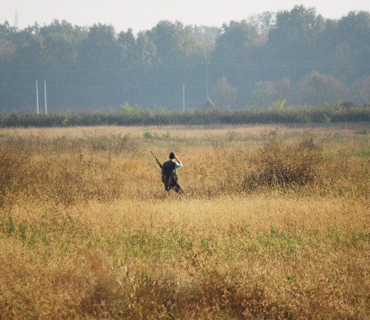 Riforma della legge sulla caccia, nuovo rinvio della discussione Riforma della legge sulla caccia, nuovo rinvio della discussione: cacciatore di spalle, in collina