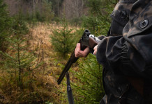 Riforma della legge sulla caccia, respinti emendamenti 5 Stelle Riforma della legge sulla caccia, respinti emendamenti 5 Stelle: cacciatore nella foresta