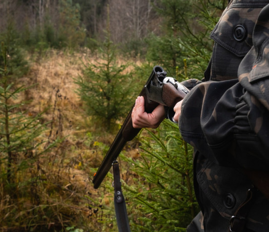 Riforma della legge sulla caccia, respinti emendamenti 5 Stelle Riforma della legge sulla caccia, respinti emendamenti 5 Stelle: cacciatore nella foresta