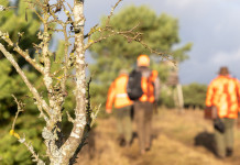 Riforma della legge sulla caccia, scontro Enpa-Partito democratico Riforma della legge sulla caccia, scontro Enpa-Partito democratico