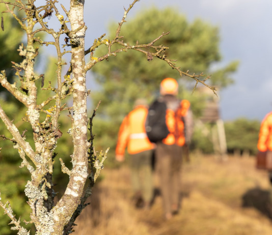 Riforma della legge sulla caccia, scontro Enpa-Partito democratico Riforma della legge sulla caccia, scontro Enpa-Partito democratico