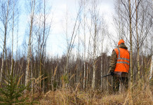 Riforma delle leggi sulla caccia e sul maltrattamento animale, oggi doppio appuntamento Riforma delle leggi sulla caccia e sul maltrattamento animale, oggi doppio appuntamento: cacciatore con gilet alta visibilità