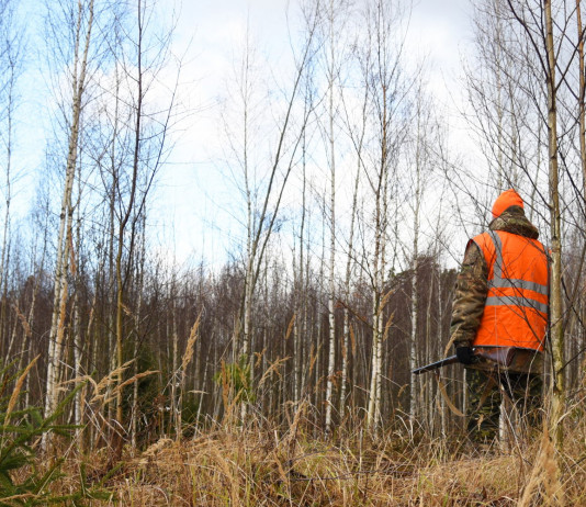 Riforma delle leggi sulla caccia e sul maltrattamento animale, oggi doppio appuntamento Riforma delle leggi sulla caccia e sul maltrattamento animale, oggi doppio appuntamento: cacciatore con gilet alta visibilità