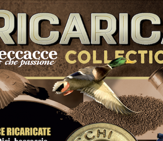 Ricarica Collection 5 vi aspetta in edicola Ricarica Collection 5