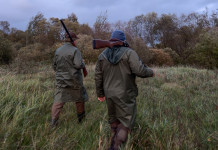 Veneziano-Sperandio, dimissioni doppie nell’Arcicaccia Veneziano-Sperandio, dimissioni doppie nell’Arcicaccia