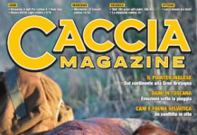 Caccia Magazine maggio 2024 copertina caccia magazine maggio 2024 in edicola