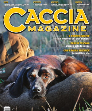 Caccia Magazine maggio 2024 copertina caccia magazine maggio 2024 in edicola