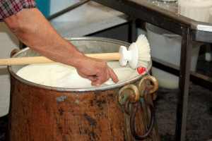 lavorazione latte per formaggi