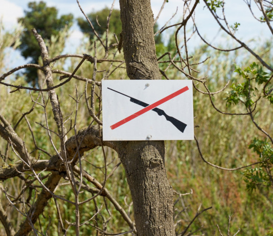 Abolizione della caccia e referendum, Buconi (Fidc) contro Bonelli Abolizione della caccia e referendum, Buconi (Fidc) contro Bonelli: segnale di divieto di caccia nel bosco