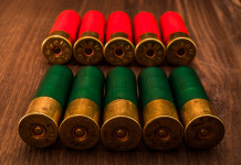 Alternative alle munizioni a pallini in piombo, il corso gratuito a Caccia Village Alternative alle munizioni a pallini in piombo, il corso gratuito a Caccia Village: due file di munizioni da caccia, bossolo rosso e bossolo verde