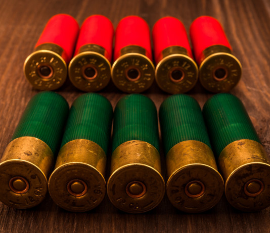 Alternative alle munizioni a pallini in piombo, il corso gratuito a Caccia Village Alternative alle munizioni a pallini in piombo, il corso gratuito a Caccia Village: due file di munizioni da caccia, bossolo rosso e bossolo verde