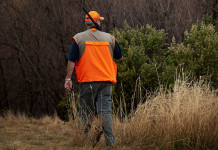 Angelo Giuliani si dimette dal comitato scientifico dell’Arcicaccia Angelo Giuliani si dimette dal comitato scientifico dell’Arcicaccia: cacciatore di spalle, con gilet alta visibilità e fucile in spalla