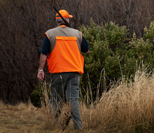 Angelo Giuliani si dimette dal comitato scientifico dell’Arcicaccia Angelo Giuliani si dimette dal comitato scientifico dell’Arcicaccia: cacciatore di spalle, con gilet alta visibilità e fucile in spalla