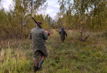 Che tempi per gli emendamenti di riforma della legge sulla caccia? Che tempi per gli emendamenti di riforma della legge sulla caccia? due cacciatori di spalle, col fucile
