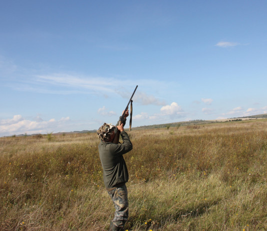 Densità venatoria minima per Atc, interrogazione al governo Densità venatoria per Atc, interrogazione al governo: cacciatore imbraccia fucile