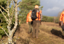 Oggi in commissione il ddl che converte il decreto agricoltura (e caccia) Oggi in commissione il ddl che converte il decreto agricoltura (e caccia): tre cacciatori con giubbotto arancione alta visibilità