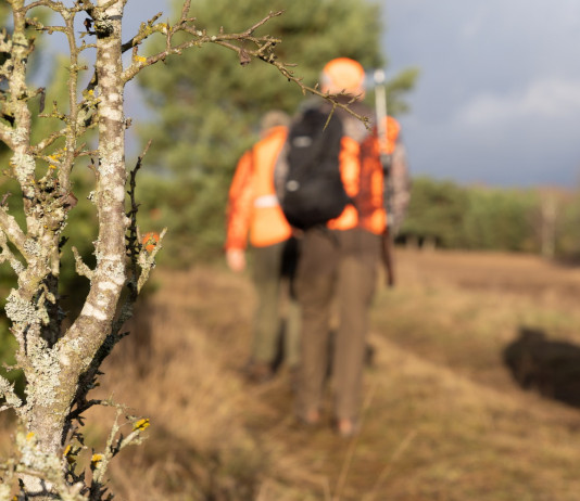 Oggi in commissione il ddl che converte il decreto agricoltura (e caccia) Oggi in commissione il ddl che converte il decreto agricoltura (e caccia): tre cacciatori con giubbotto arancione alta visibilità