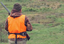 Riforma della legge sulla caccia, la strategia di Bruzzone per accelerare Riforma della legge sulla caccia, la strategia di Bruzzone per accelerare: cacciatore di spalle, con gilet arancione alta visibilità