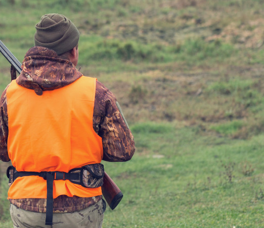 Riforma della legge sulla caccia, la strategia di Bruzzone per accelerare Riforma della legge sulla caccia, la strategia di Bruzzone per accelerare: cacciatore di spalle, con gilet arancione alta visibilità