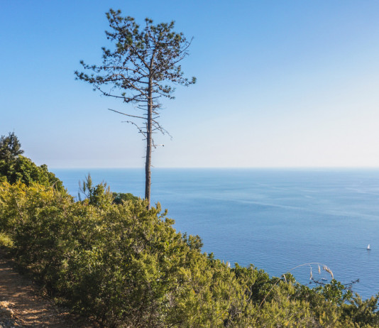 Tar Liguria annulla decreto di perimetrazione del Parco di Portofino Tar Liguria annulla decreto di perimetrazione del Parco di Portofino