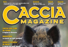 Caccia Magazine giugno 2024 caccia magazine giugno 2024