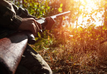 Criteri di rappresentanza delle associazioni venatorie negli Atc, coinvolta la Corte costituzionale Criteri di rappresentanza delle associazioni venatorie negli Atc, coinvolta la Corte costituzionale