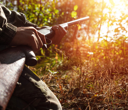 Criteri di rappresentanza delle associazioni venatorie negli Atc, coinvolta la Corte costituzionale Criteri di rappresentanza delle associazioni venatorie negli Atc, coinvolta la Corte costituzionale