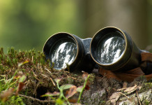 Elezioni europee, l’appello della Face Elezioni europee, l’appello della Face: binocolo da caccia