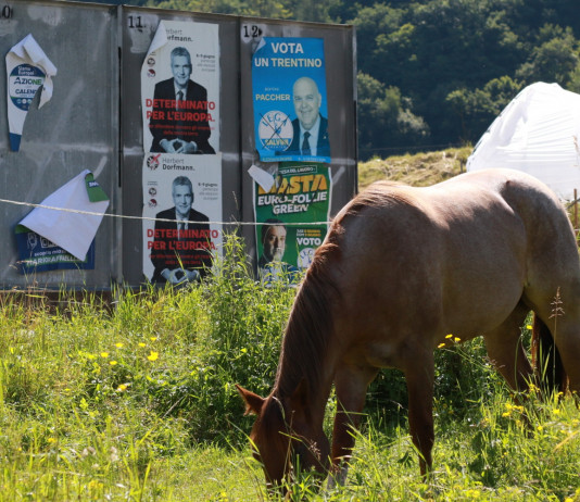 Elezioni europee, ventidue adesioni in più al manifesto della cabina di regia del mondo venatorio Elezioni europee, venti adesioni in più al manifesto della cabina di regia del mondo venatorio: cavallo davanti a manifesto elettorale per elezioni europee 2024