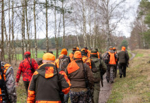 Opposizioni presentano altre proposte di modifica della legge sulla caccia Opposizioni presentano altre proposte di modifica della legge sulla caccia: cacciatori in alta visibilità