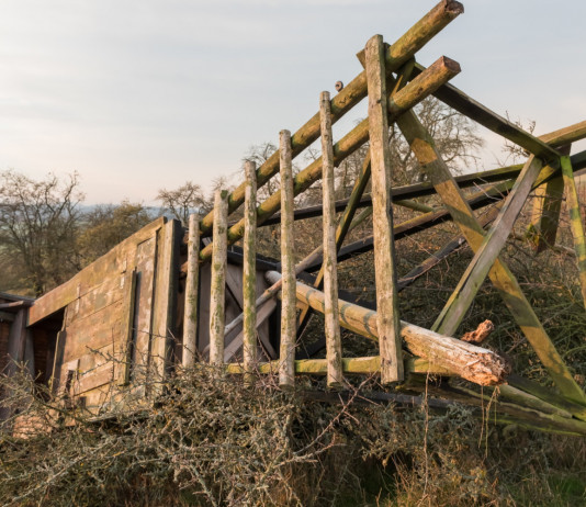 Proposte sanzioni per ostacolo alla caccia e al controllo faunistico Proposte sanzioni per ostacolo alla caccia e al controllo faunistico: altana da caccia distrutta