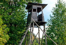 Pubblicato l’elenco degli emendamenti di modifica della legge sulla caccia Pubblicato l’elenco degli emendamenti di modifica della legge sulla caccia: altana