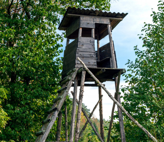 Pubblicato l’elenco degli emendamenti di modifica della legge sulla caccia Pubblicato l’elenco degli emendamenti di modifica della legge sulla caccia: altana