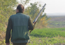 Quando si discutono le modifiche della legge sulla caccia? Quando si discutono le modifiche della legge sulla caccia: cacciatore di spalle, con fucile in mano