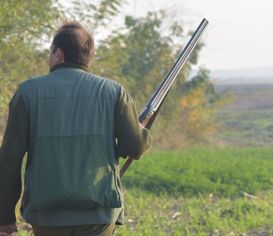 Quando si discutono le modifiche della legge sulla caccia? Quando si discutono le modifiche della legge sulla caccia: cacciatore di spalle, con fucile in mano