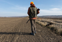 Rappresentanza delle associazioni venatorie, chiesto commissariamento Atc Abruzzo Rappresentanza delle associazioni venatorie, chiesto commissariamento Atc Abruzzo: cacciatore di spalle