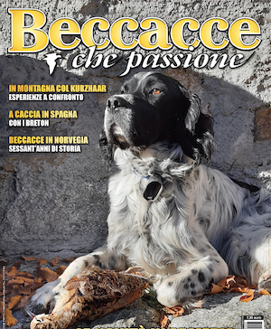 Beccacce che Passione numero 3 2024 vi aspetta in edicola beccacce che passione numero 3 2024