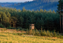 Approvate sei modifiche della legge sulla caccia in Lombardia Approvate sei modifiche della legge sulla caccia in Lombardia: hunting tower, appostamento