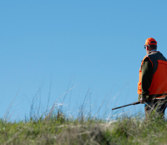 Convocata commissione per la discussione delle modifiche della legge sulla caccia Convocata commissione per la discussione delle modifiche della legge sulla caccia: cacciatore di spalle, con gilet alta visibilità e fucile in mano