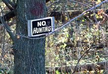 Firme online per i referendum sulla caccia e sull’articolo 842 del codice civile Firme online per i referendum sulla caccia e sull’articolo 842 del codice civile