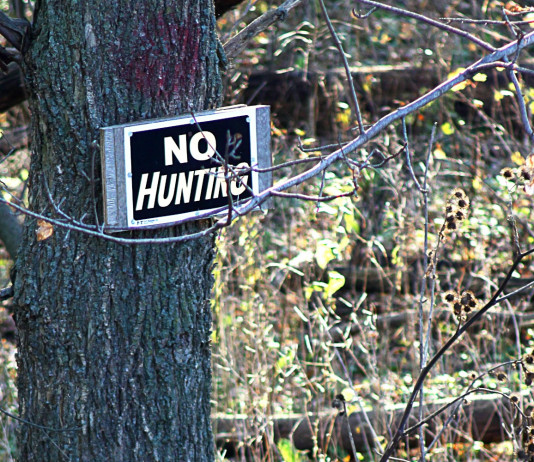 Firme online per i referendum sulla caccia e sull’articolo 842 del codice civile Firme online per i referendum sulla caccia e sull’articolo 842 del codice civile