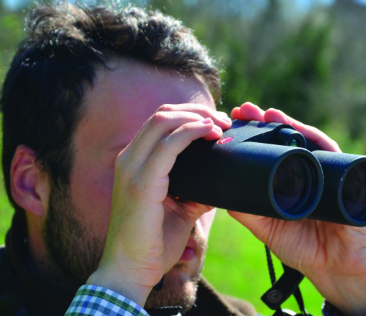 Leica Geovid R 8×42: il test a caccia Leica Geovid R 8x42 il test a caccia