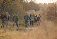 Mancata riforma della legge sulla caccia, critiche le associazioni venatorie Mancata riforma della legge sulla caccia, il commento delle associazioni venatorie: cacciatori di spalle